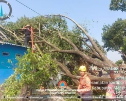 Hujan Deras dan Angin Kencang Melanda Magetan, Sebanyak 86 Rumah Rusak